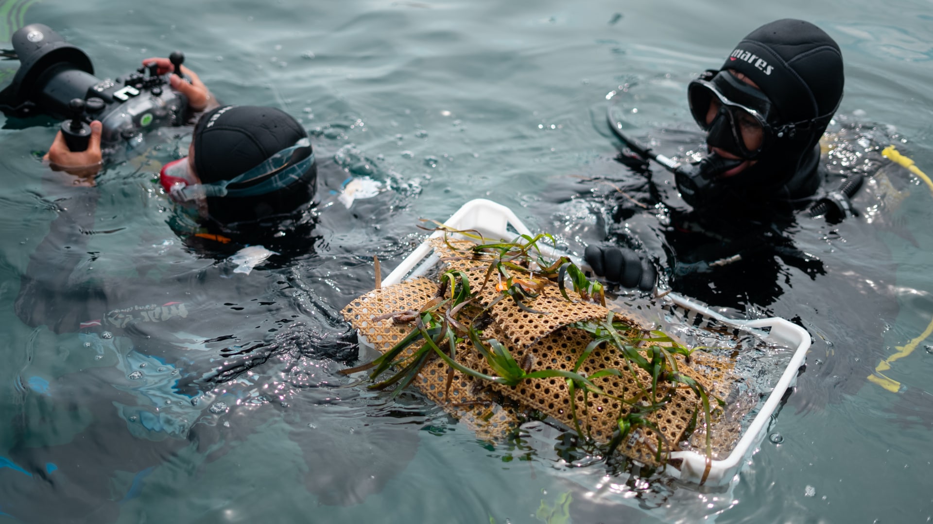 Two Posidonia divers on the surface of the sea